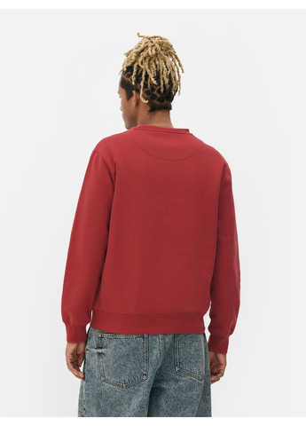 Темно-розовый свитшот флис,темно-розовый, Primark (368150840)