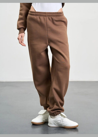 Штаны-джоггеры женские утепленные Роза (325821639)