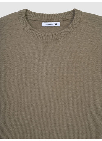 Бежевий демісезонний светр чол Terranova