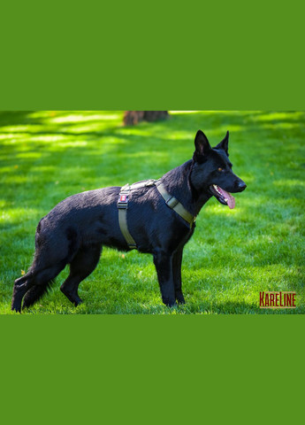 Шлея анатомічна нейлон Keeper Active із світловідбиваючим кантом h25 A340-540 B470-690 Kareline (339075610)