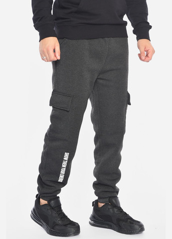 Спортивні штани чоловічі на флісі темно-сірого кольору Let's Shop (305296639)
