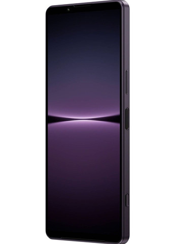 Смартфон 12/256GB (HK) Sony Xperia 1 IV (359404568)