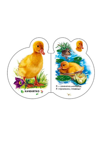 Картонная книжечка для самых маленьких Малыши: В селе 411016 аудио бонус Ranok Creative (364127417)