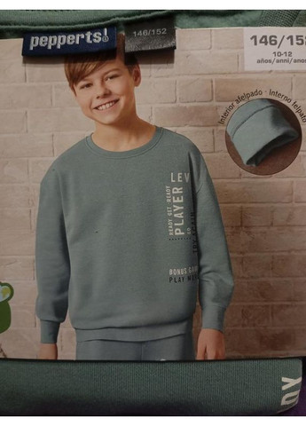Толстовка для мальчика с флисовым напылением . Германия Pepperts (367960445)