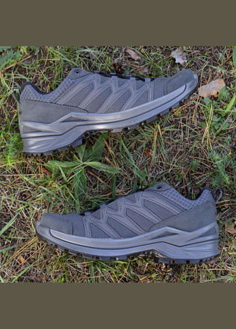 Ботинки тактические Innox PRO GTX Lo TF Wolf Lowa (315881368)