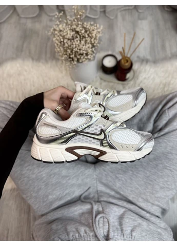 Бежеві кросівки чоловічі nike v5 rnr beige brown найк в5 бежеві демісезон No Brand