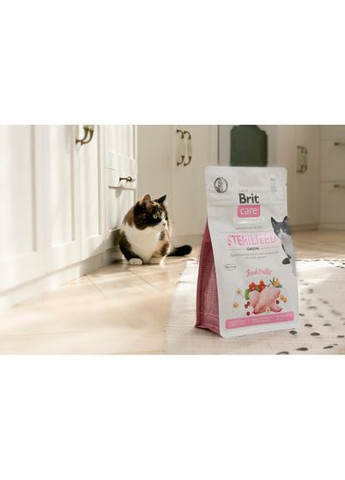Сухой корм Cat GF Sterilized Sensitive для стерилизованных кошек с чувствительным пищеварением, с кроликом, 2 кг Brit Care (322874376)