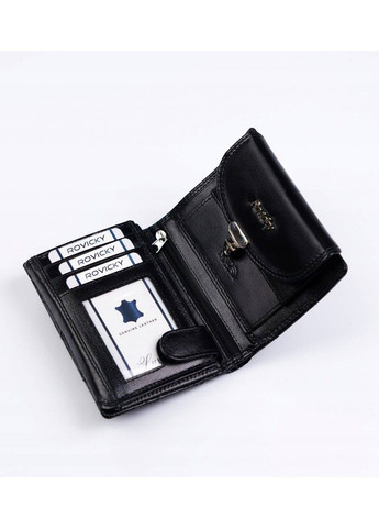 Кошелек женский кожаный R-RD-19-GCL-Q Rovicky (360243991)