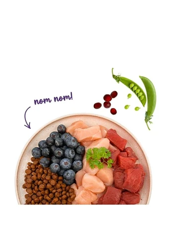 Сухий корм для котів Adult Ostrich страус із чорницями 8 кг 857008 Sanabelle (395427839)