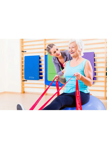 Лента-эспандер для спорта и реабилитации Flat Band 30 м 9-11 кг Blue (P-5907739311191) 4FIZJO (301733370)