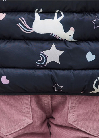 Темно-синяя демисезонная куртка девочке демисезонная Lupilu