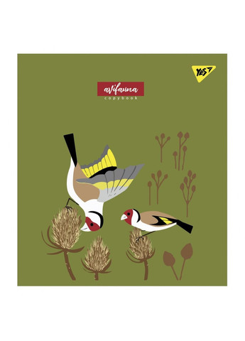 Тетрадь уч. " " 12л.# /766791/ "Avifauna" мат. ВДЛ+ УФ-виб (10/250) Yes (392422915)