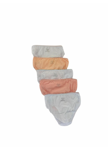 Набір дитячих трусів-сліпів 5 шт для дівчинки Комбінований (25091003) OVS (361680053)