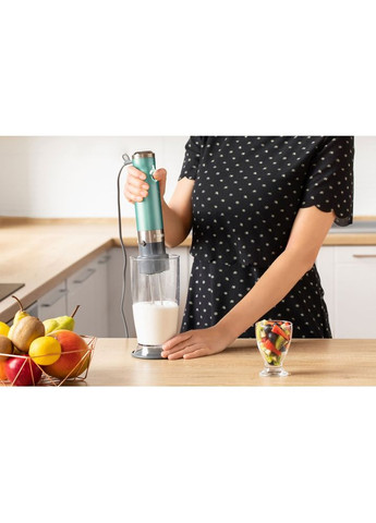 Блендер SHB 5601GREUE3 Sencor (306731705)