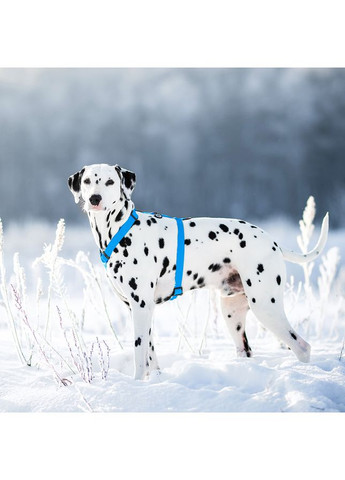 Шлей для собак водостойкий анатомический Н-образный WAUDOG Waterproof с QR-паспортом, пластиковая пряжка-фастекс,, Ш 15 мм, А 28-42 No Brand (363201510)