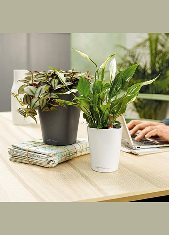 Вазон Deltini, антрацит (A-013643) Lechuza (317268861)