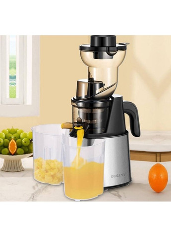 Шнековий соковитискач SK-01010 2в1 Морожениця 800Вт Ø80мм Чорний/Сірий Sokany (360392644)