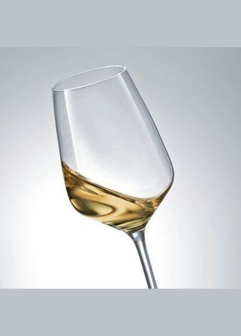 Комплект келихів Taste 356 мл 6 шт Schott Zwiesel (316619671)