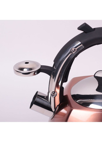 Чайник 3л из нержавеющей стали со свистком 0697 Kamille (365750151)