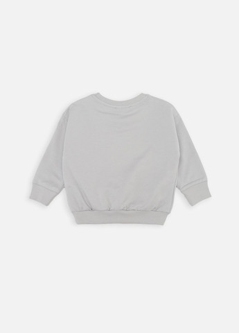 First Kids світшот для хлопчика колір сірий cb-00258999 сірий трикотаж