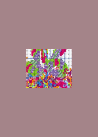 Набор для вышивания по нанесённой на канву схеме "Apple" AIDA 14CT printed, 28*44 см Joy Sunday (313614332)