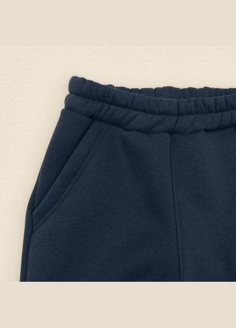 Детский теплый костюм на флисе худи и штаны Dexter`s navy dexter's (298408247)