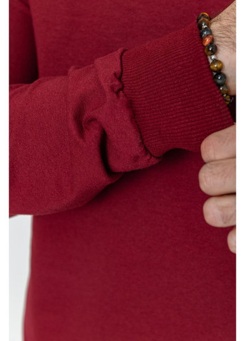 Свитшот мужской демисезонный, 208R0204 Ager (365728105)