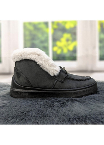 Черевики жіночі зимові замшеві Dago (301792137)