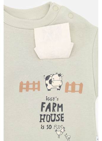 Оливковый зимний костюм с брюками для мальчика цвет оливковый цб-00283903 Iggy