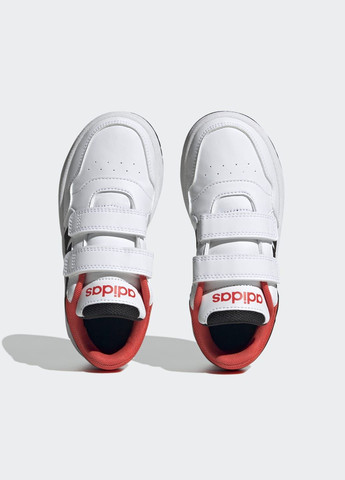 Комбіновані всесезонні кросівки hoops lifestyle basketball adidas