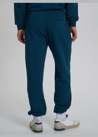 Темно-синие повседневный демисезонные джоггеры брюки Роза