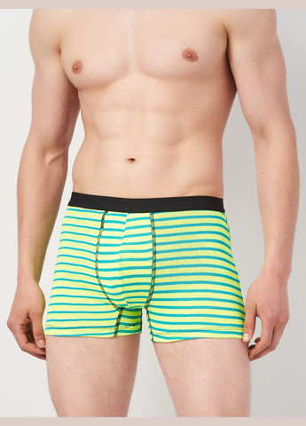 Труси (3шт) Basic Collection (295079678)