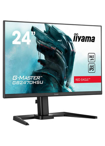 Монитор GB2470HSUB5 Iiyama (306746488)