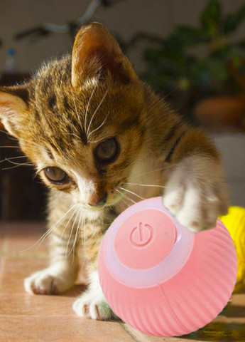 Интерактивная игрушка мячик для кошек и собак с подсветкой и хаотическим движением смарт мяч для домашних животных Tik-Tak (362297935)