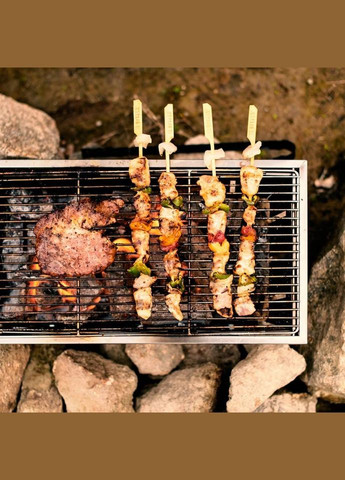 Гриль портативный Picnic BBQ Grill NH20CJ006, р-р L, сталь Naturehike (353502623)