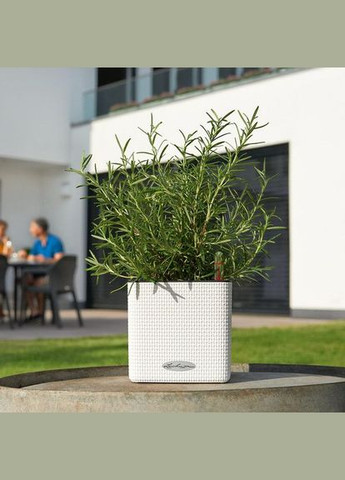 Умный вазон Cube Color 14 1 л белый 13380 Lechuza (316621006)