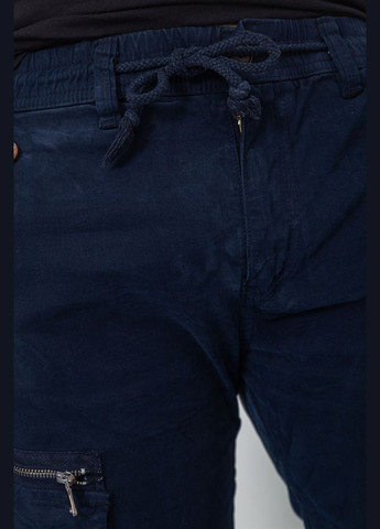 Штани карго чоловічі Ager (299724375)