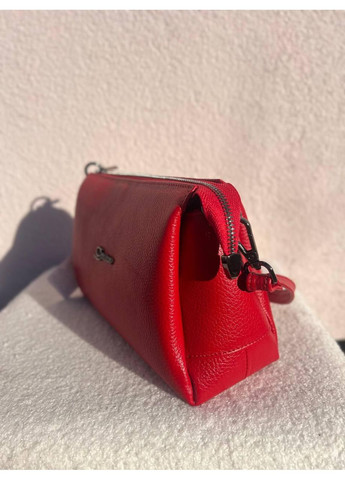 Сумка жіноча Натуральна шкіра флотар червона (3017-2) Desisan (371883432)
