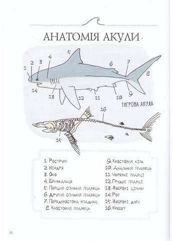 Анатомия океана. Невероятные места и части света, скрытые под водой Читаріум (370060701)