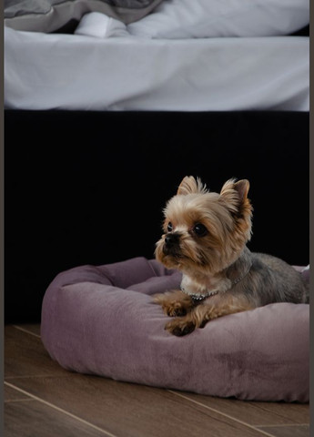 Лежак для собак Фелікс №4 60 x 73 x 16 см Рожевий (4820224213439) Lucky Pet (279563654)
