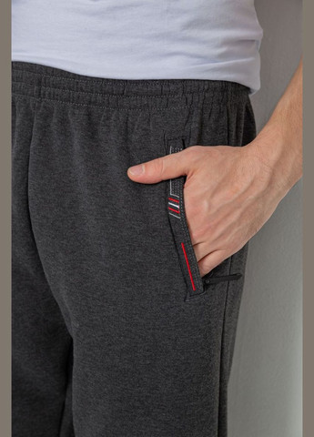 Спорт чоловічі штани на флісі Ager 244R41309 (304502898)