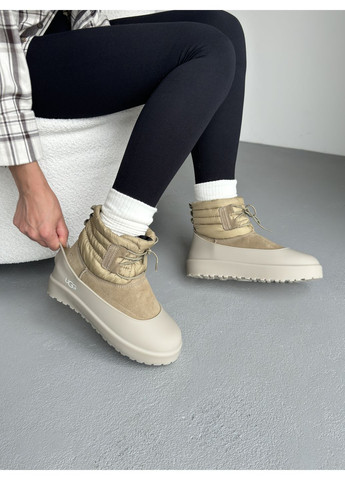 Кроссовки женские и мужские UGG Classic Mini Lace-Up Beige | Угі Класік Міні бежевые демисезоны (372463797)
