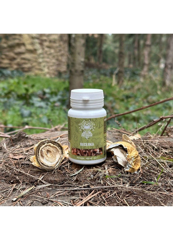 Весёлка обычная 120 таблеток Лесовик Лісовик (364210468)