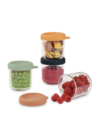 Набор контейнеров для хранения 4 шт. (4х250 мл), ст. 914009 Beaba (369489939)