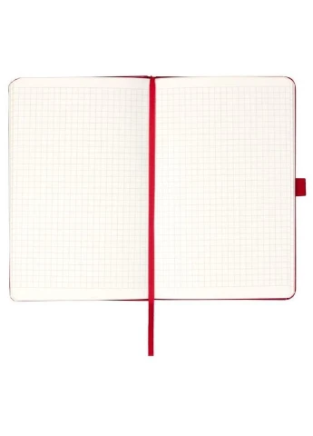 Книга записная Partner, 125*195, 96л, клетка, красная, красная Axent (380728098)