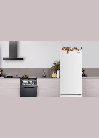 Холодильник NFN-180W Grifon