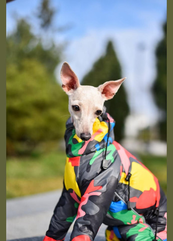 Комбинезон для собак Hunter Winter, (*) SmartPet (323153233)