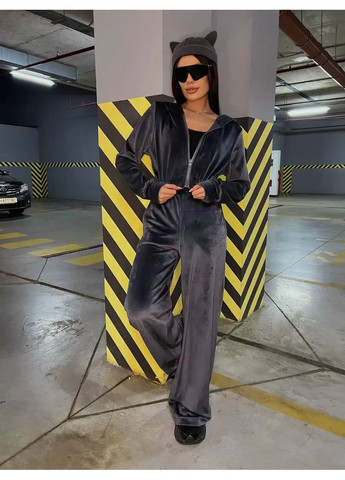 Велюровый женский костюм No Brand (362085391)