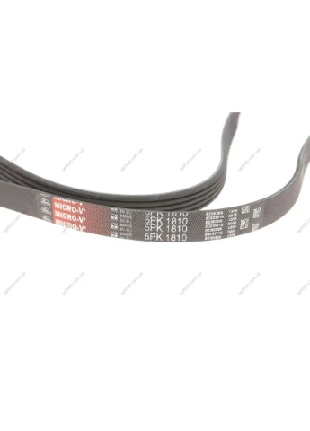 Поликлиновые ремни Micro-V (Пр-во ) 5PK1810 Gates (366127452)