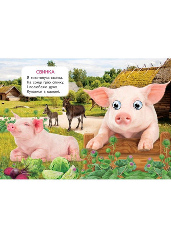 Цікаві книжки з оченятами «Ферма» Віршики для малечі у картонному форматі (9786178405694) Пегас (327879048)